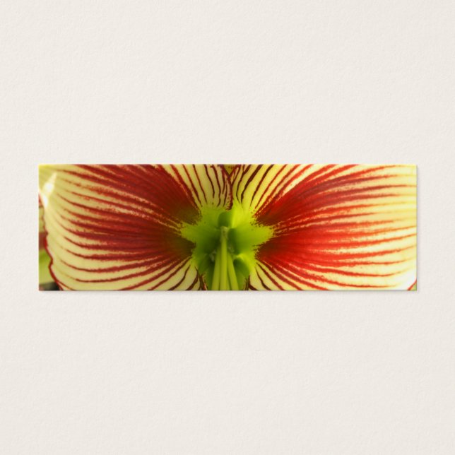 Marcador de mariposa Amaryllis (Frente)