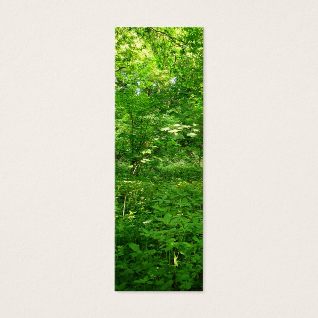 Marcador de primavera en los bosques (Frente)