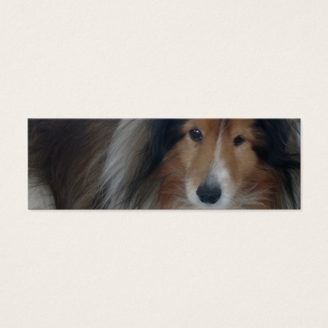 Marcador de Shetland Sheepdog (Frente)