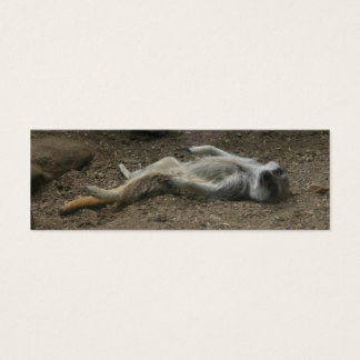 Marcador de Sunbathing Meerkat