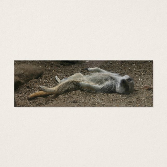 Marcador de Sunbathing Meerkat (Frente)