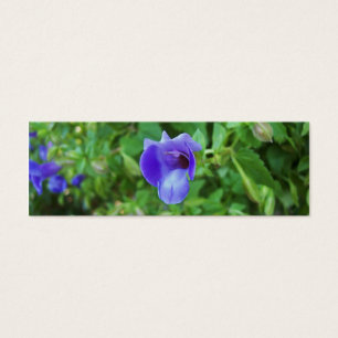 Marcador de Torenia