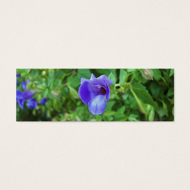 Marcador de Torenia (Frente)