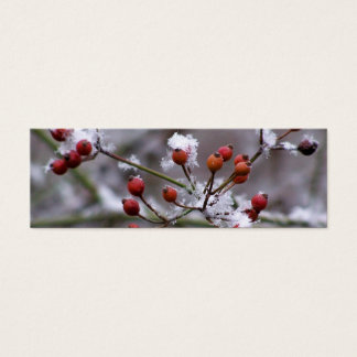 Marcador de Winter Berries