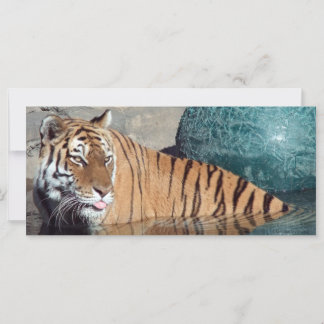 Marcador fotográfico de tigre de Bengala
