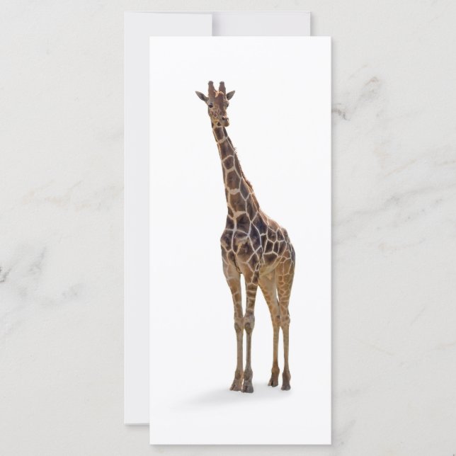 Marcador Giraffe / Tarjeta Rackcard (Anverso)