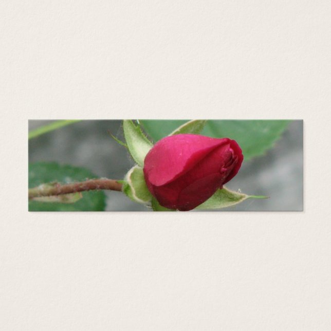 Marcador Rosa de bonito (Frente)