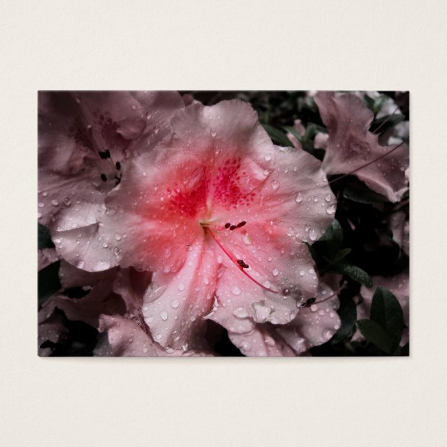 Marcadores de brillo interno (Frente)