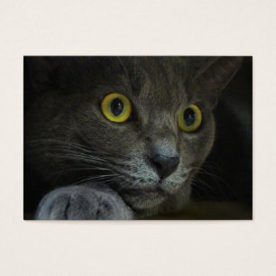 Marcadores de intensidad