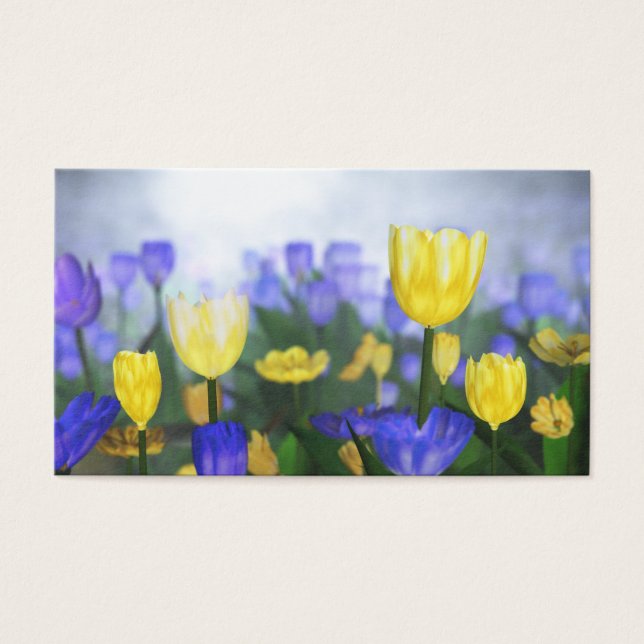 Marcadores de Jubileo de Oro (Frente)