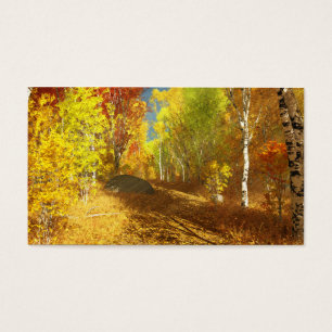 Marcadores de luz en caída