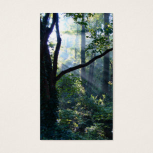 Marcadores de primera luz