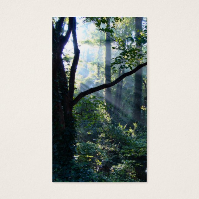 Marcadores de primera luz (Frente)