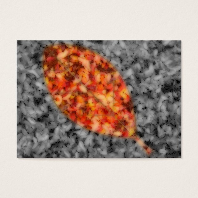 Marcadores de sombras brillantes (Frente)