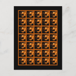 Marcadores de tarjeta de Bingo Dulce 16 Naranja Ne