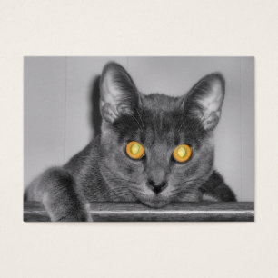 Marcadores Dusky Gold