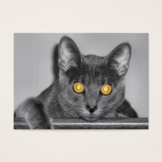 Marcadores Dusky Gold (Frente)