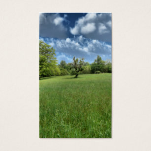 Marcadores verdes de Apalache