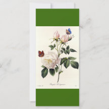 Marcapáginas de flores de rosa blancas de arte bot