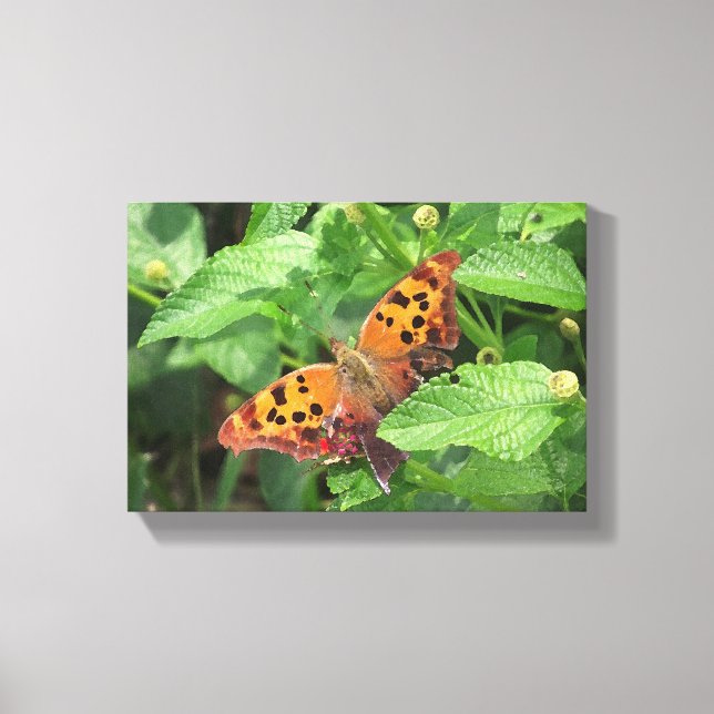 Marcar mariposa en lienzo envuelto de Lantana (Anverso)