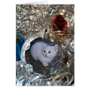 Marco completo de la bombilla plateada