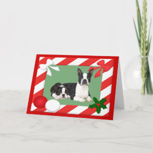 Marco de la tarjeta de Navidades de Boston Terrier