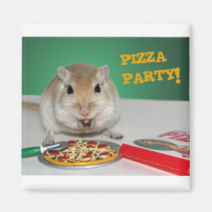 Marco el imán del fiesta de la pizza del Gerbil