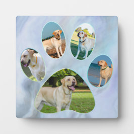 Marco fotográfico de perro de bajo consumo