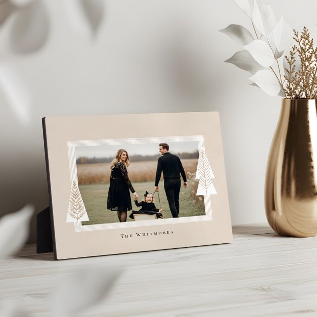 Marco moderno de rayas Fotografía de árbol de Navi (Modern Stripe Frame Evergreen Christmas Tree Photo)