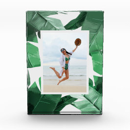 Marco tropical del bloque de la foto de las hojas