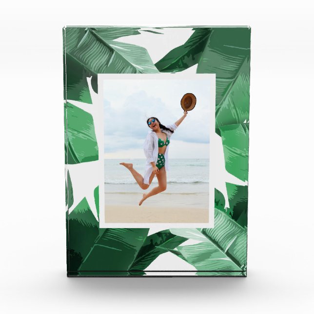 Marco tropical del bloque de la foto de las hojas (Anverso)