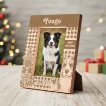 Perro Border Collie - Reno Border