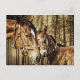 Mare and Foal - Amantes del caballo postales de ar
