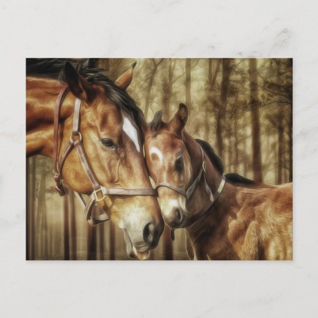 Mare and Foal - Amantes del caballo postales de ar (Anverso)