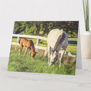 Mare & Foal Horses Gran Tarjeta de Saludo