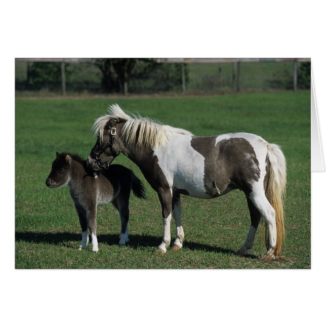 Mare & Foal Standing en miniatura (Anverso (Horizontal))
