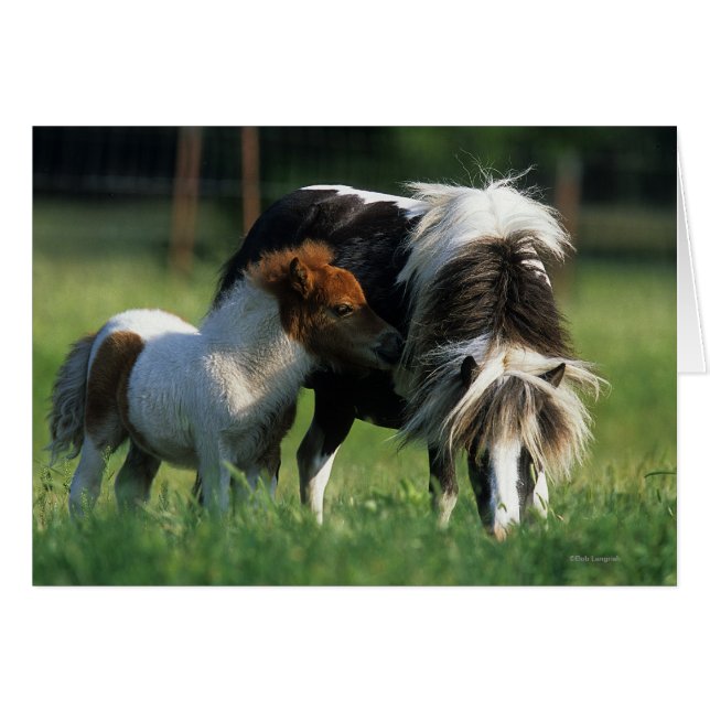 Mare y pie en miniatura 2 (Anverso (Horizontal))