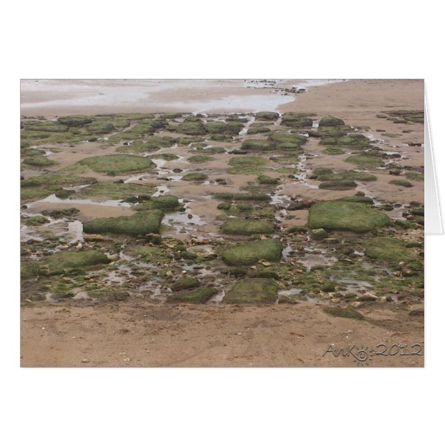 Marea baja 2 (Anverso (Horizontal))