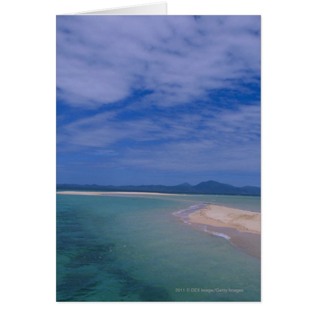 Marea baja en la playa (Frente)