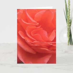 Mareas de tarjeta de felicitación de foto de Rosa 