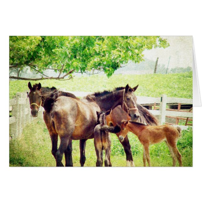 Mares and Foals (Anverso (Horizontal))