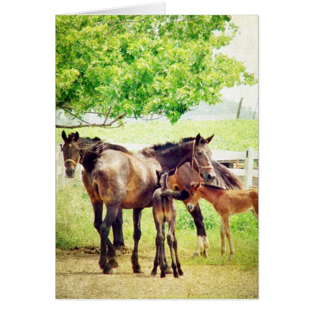Mares and Foals (Frente)