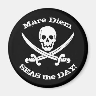 Mares el imán del pirata del día