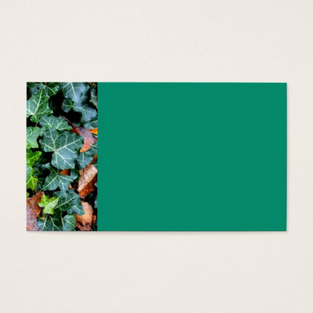 Marfil botánico verde y piedra de campo (Frente)