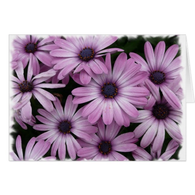 Margarita (Anverso (Horizontal))