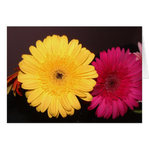 Margarita amarilla de Gerber