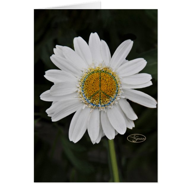 margarita de la paz (Frente)