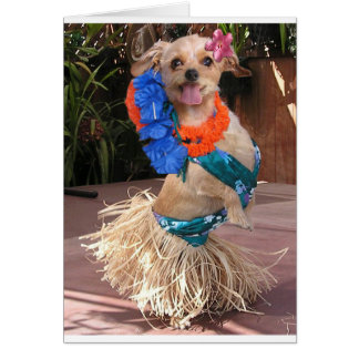 Margarita II - Margarita de Hula