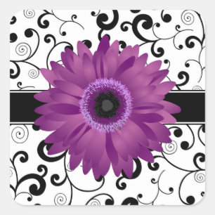 Margarita púrpura del Gerbera con el sello negro