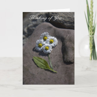 "Margarita" que piensa en usted. Tarjeta